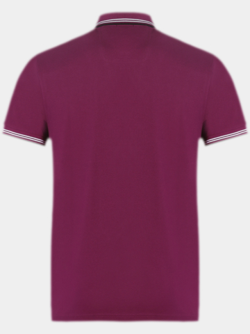 BOSS  Paul Halbarm Polo beere