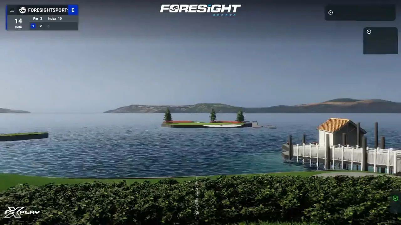 Foresight GC3S FSX